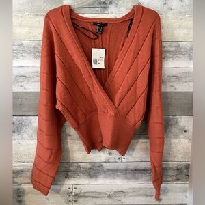 Forever 21 Rust V-Neck Sweater